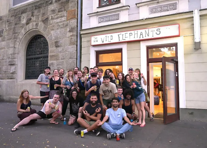 Wild ElephantsHostel